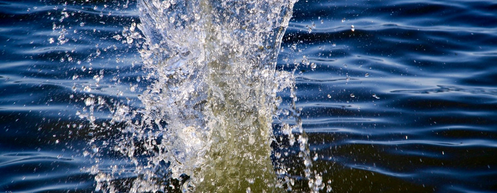 A lot of rocks were added to the bottom of the lake.
