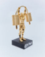 Thumbnail: Gold Gym Bro Trophy