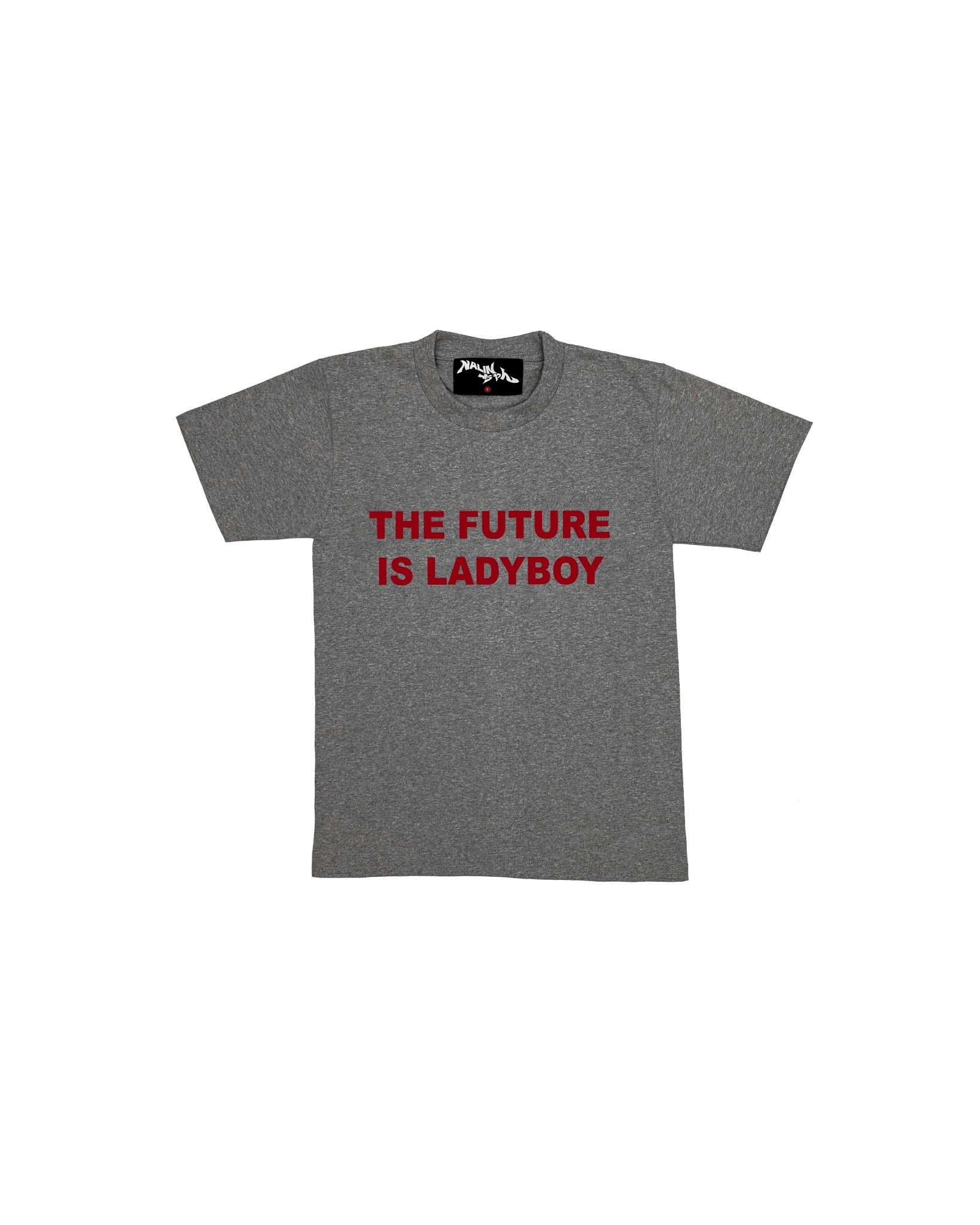 Grey-Red The Future is Ladyboy T-shirt