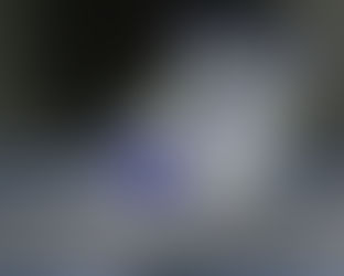 The Future of E-Commerce: 5 Trends Set to Transform Online Shopping in 2026