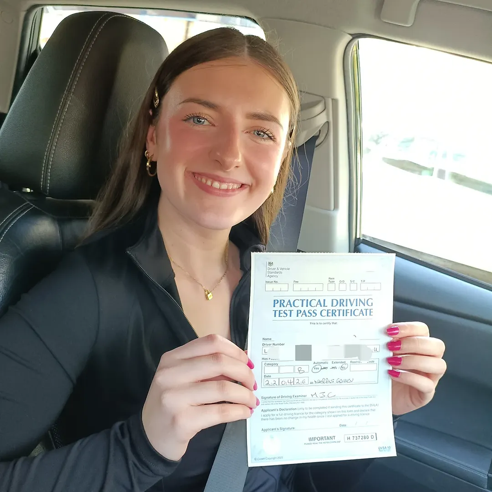 Automatic Driving Lessons