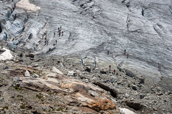 La nature et l'homme web.jpg