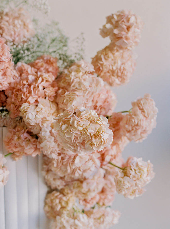 dani toscano — siren mentorship-9.jpg