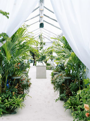 tropical garden inspired tent design