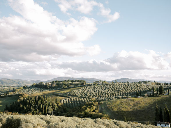 villa corsini wedding venue view from ceremony