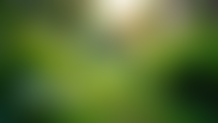 The Importance of Sustainable Living in Today's World