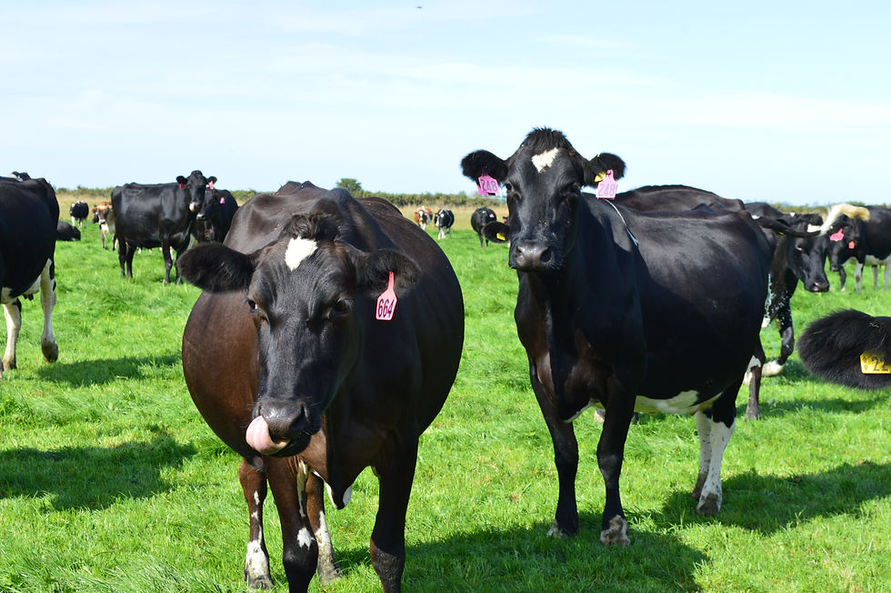 Photo 15-02-14 5 11 49 pm.jpg