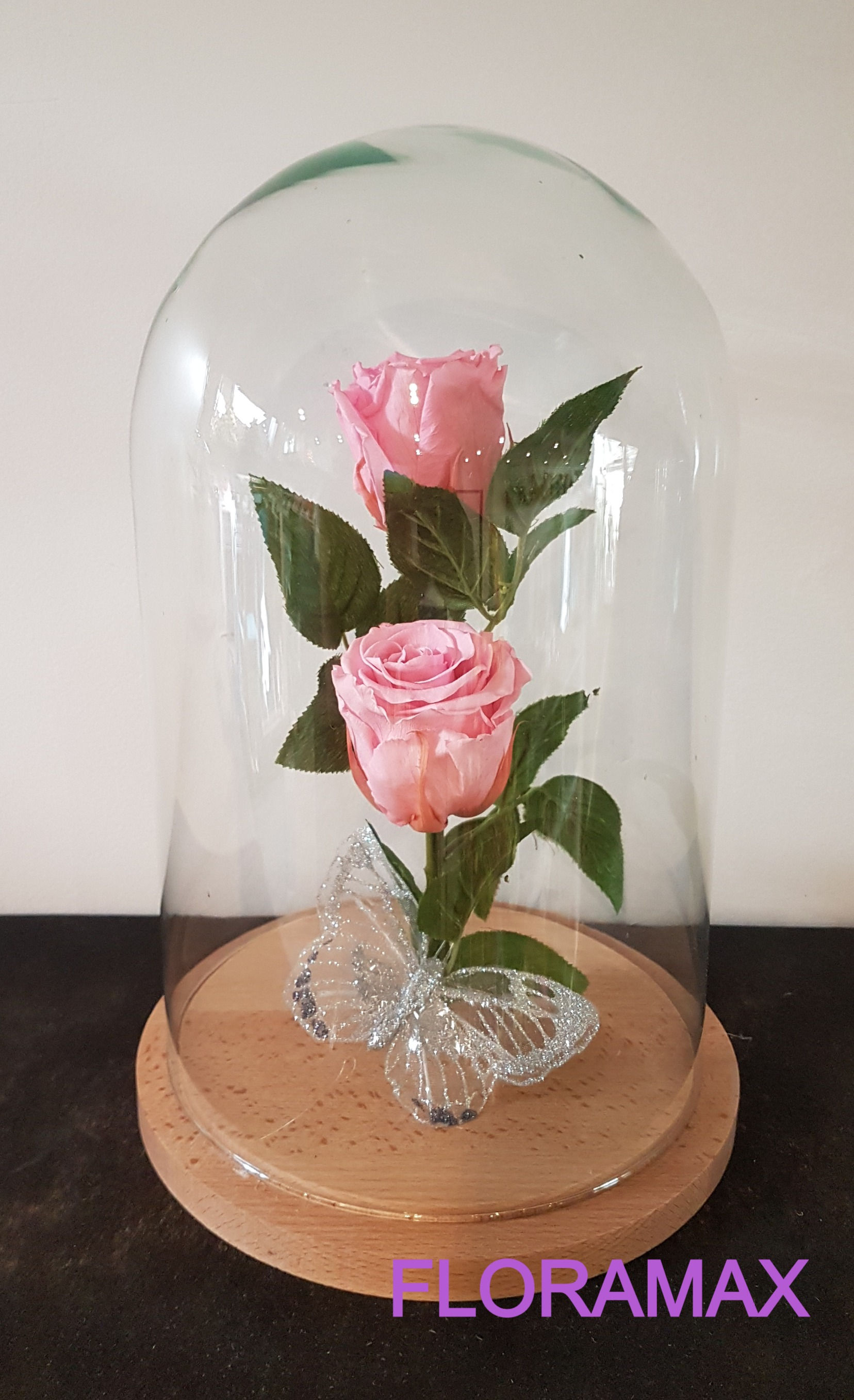 Double rose éternelle rose pâle