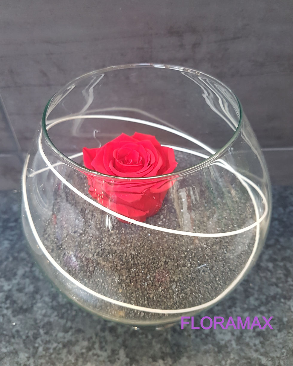 Miniature : Rose éternelle dans un vase cognac