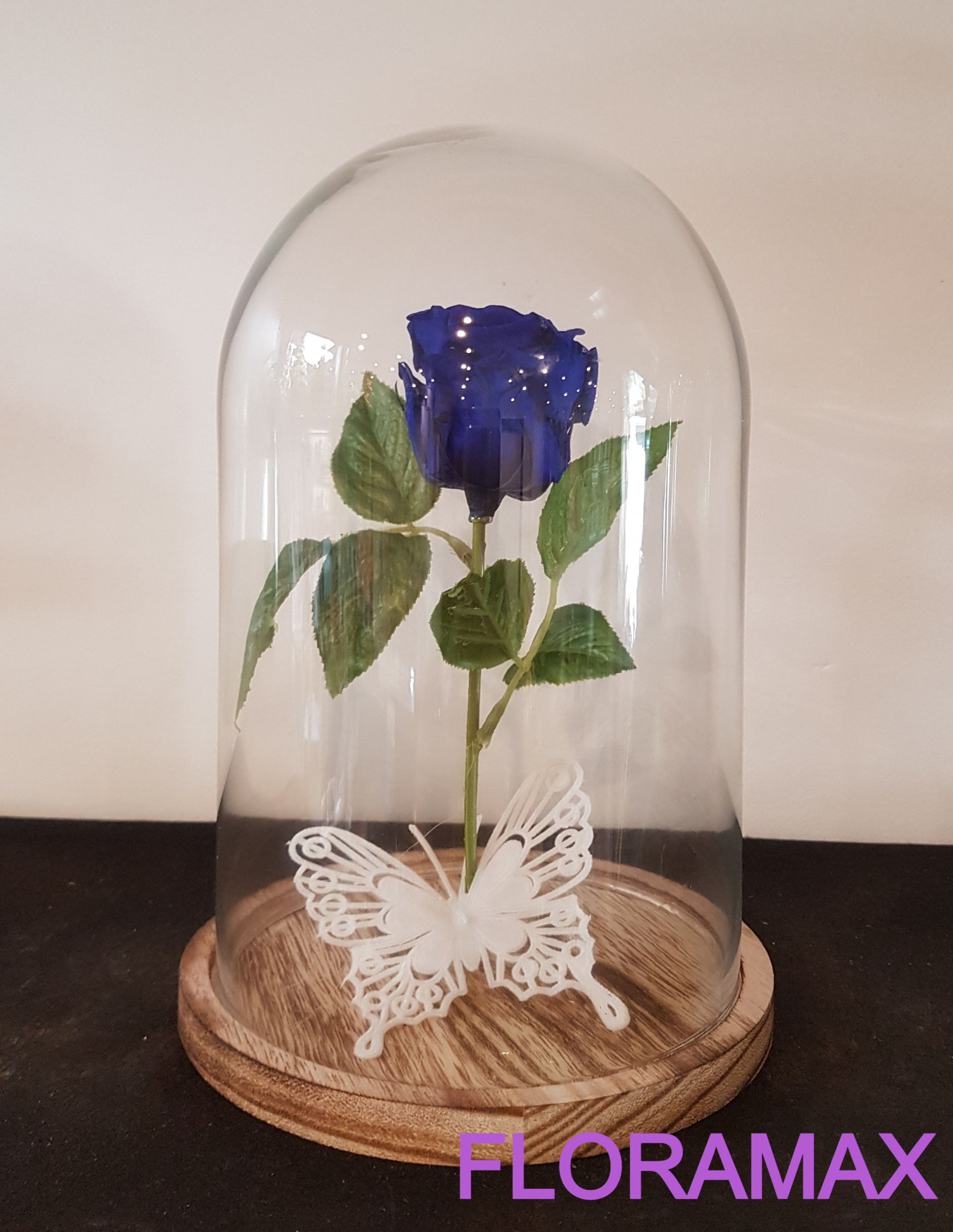 Rose éternelle bleue