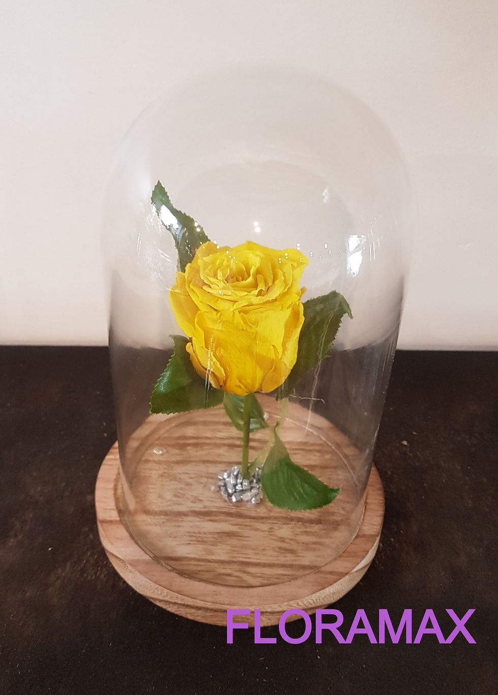 Miniature : Rose éternelle jaune