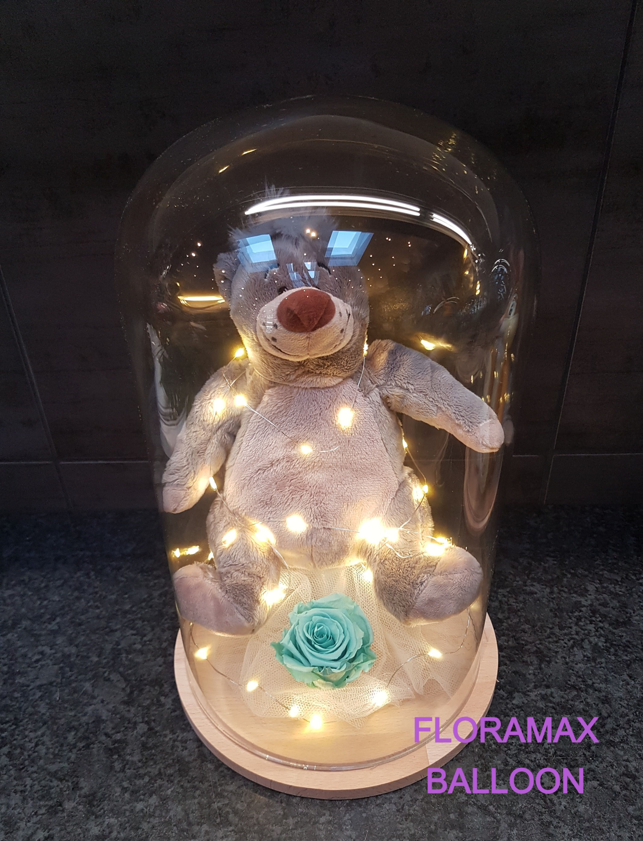 Veilleuse Balou   Ref  :  VE3029