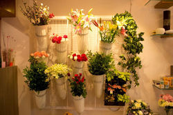 Glass shelves are fixed on the side walls in a planned grid to break the monotony which provides dif