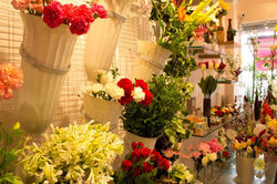 On the side wall a wire mesh panel is created to hang flowers which creates beautiful cluster visual