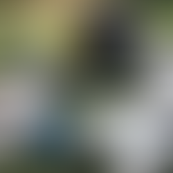 Master in Golf Management