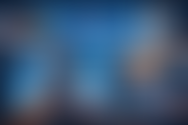 EMBA in Industry-Focused Executive Tracks