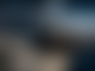 The 1857 Hamburg Financial Shock and the Meaning of the Austrian “Silver Train”