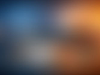 What Makes a Business School International in Practice?