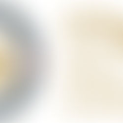 Swiss Education, British Spirit: Discover OUS Academy London