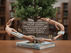 The Evergreen Lifecycle: The Gift Economy, Product Longevity, and Generational Demand in Robert Munsch's Love You Forever