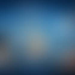 EMBA في النمو والابتكار