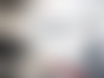 من الاستقرار إلى المرونة: دروس اقتصادية من التجربة المالية النمساوية بين الحربين