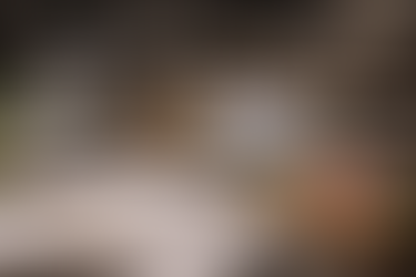 Doctorate in Culinary Arts and Food Services