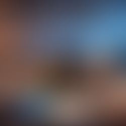 Master in Library and Information Sciences