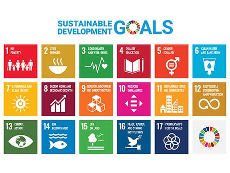 Swiss International University and the UN Sustainable Development Goals: A Shared Vision for a Better World
