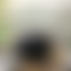 EMBA in Sustainable Finance and Impact Investing