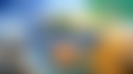 The Role of Business Diplomacy in Strengthening Euro-Arab Relations