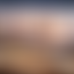 Master in History and Russian