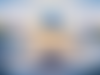 Global Higher Education in Transition: Strategy, Quality, and Rankings