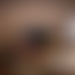 Doctorate in Law and Arabic