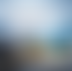 Doctorate in Risk Management and Regulatory Strategy (International Focus)