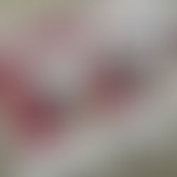 Building a Borderless University: SIU’s Global Vision in 2026