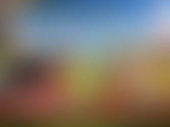 From SIU to You: Happy Easter and Best Wishes for Success