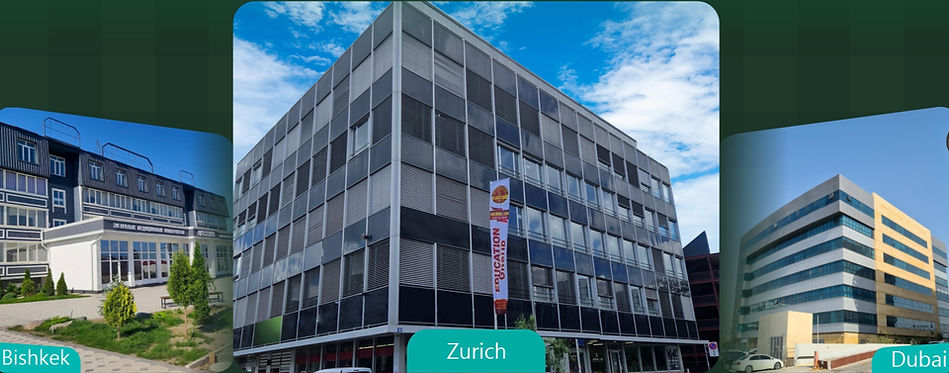 7 branches EN-1 (2)_edited.jpg