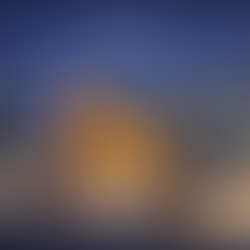 EMBA in Asset Management and Portfolio Strategy