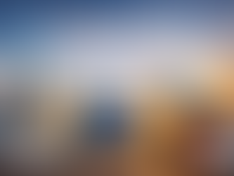 Профессиональное обучение для предпринимателей в Объединённых Арабских Эмиратах