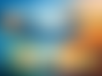 How Chambers of Commerce Help Build Trust Across Regions