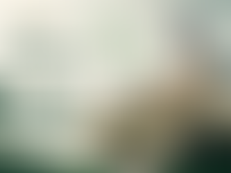 Best Universities in KSA: A Simple Guide for Students and Families