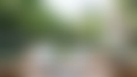 النمو الاقتصادي العالمي يعزز الاستثمارات التعليمية الذكية لبناء كفاءات مستدامة قادرة على قيادة أسواق المستقبل