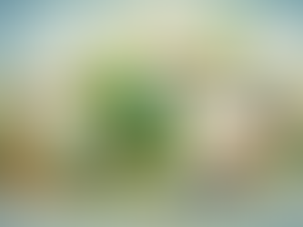 ISO 20400 – المشتريات المستدامة: نهج عملي نحو مسؤولية الشراء