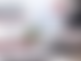 拉脱维亚加强教育质量并推动长期发展