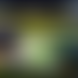 Master in Performance Football Coaching