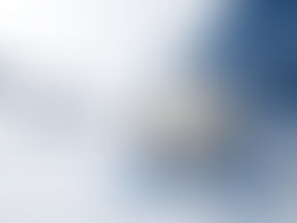 How a Quality Label Can Strengthen Public Confidence