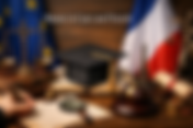 Master in Law and French