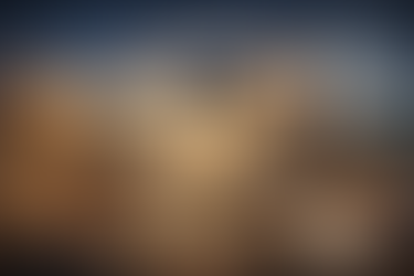 Master in Anthropology