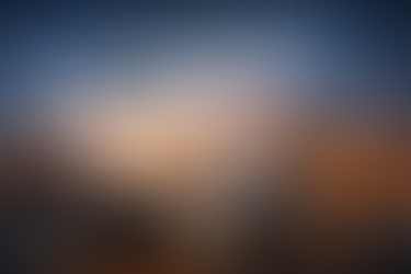 دكتوراه في التجارة العالمية وشبكات الإمداد